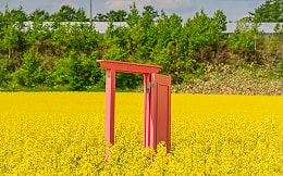 菜の花畑（安平町）